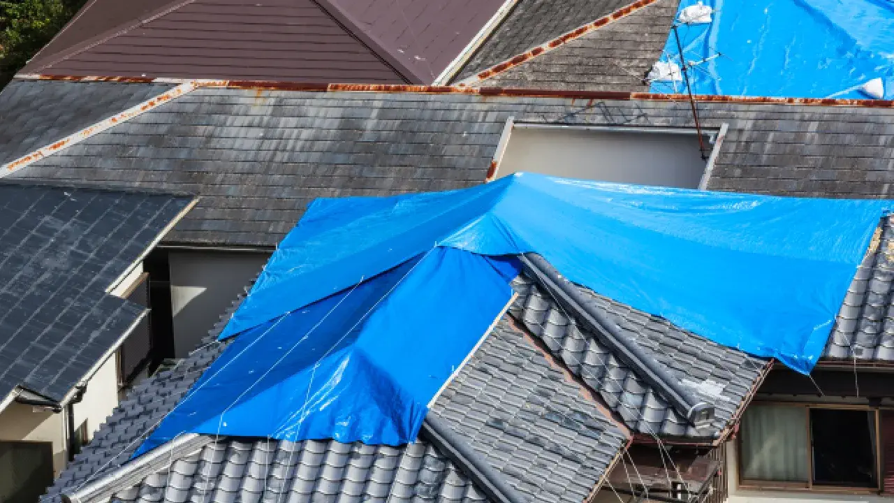 blue tarps on damage residential roofs in need of repair